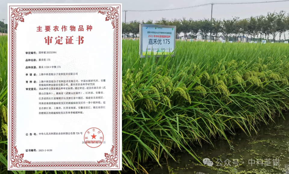 圖片2(1).png 圖片2(1).png